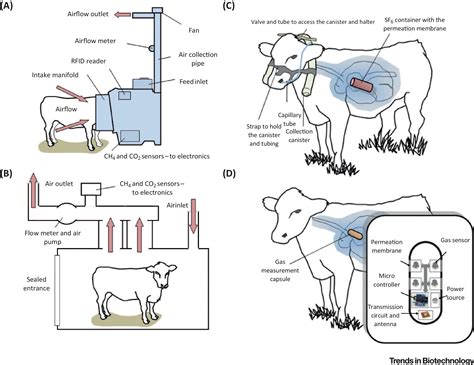 methane analysis methods|field measurement of methane.